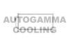 AUTOGAMMA 102784 Condenser, air conditioning